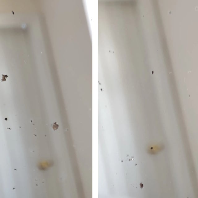 Mid-Century Modern Frameless Distressed Wall Mirror, 1940s For Sale - Image 8 of 11