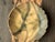 Tan Vintage 1983 Nemadji Earth Pottery “Forest Impressions” Leaf Motif Scalloped Plate For Sale - Image 8 of 10
