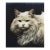 Large Portrait of a Cat Vintage Photograph Circa 1910 Framed For Sale