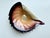 This handcrafted glass art vase in the shape of a conch shell comes from the renowned Polish glassworks Jozefina Art...
