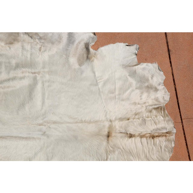 Hand-Crafted White Cowhide Rug from Argentina, Folk Art Style, 1980 For Sale - Image 11 of 18
