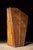Early 20th Century Antique Wooden Lyon & Healy Harp Case For Sale - Image 5 of 14