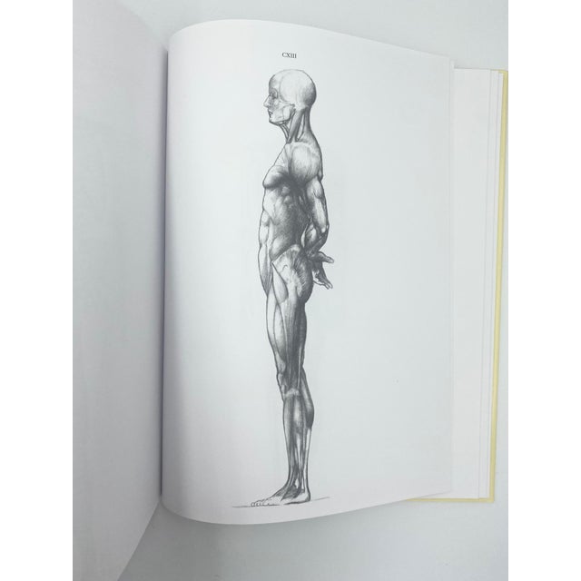 Tan Anatomy for the Artist by Jeno Barcsay 1995 Hardcover Drawing Book For Sale - Image 8 of 13