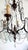 Metal, Wood and Murano Glass Fruit 6-Light Chandelier, 1920s For Sale - Image 10 of 12