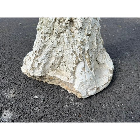 Vintage Faux Bois Bird Bath For Sale - Image 13 of 14