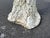 Vintage Faux Bois Bird Bath For Sale - Image 13 of 14