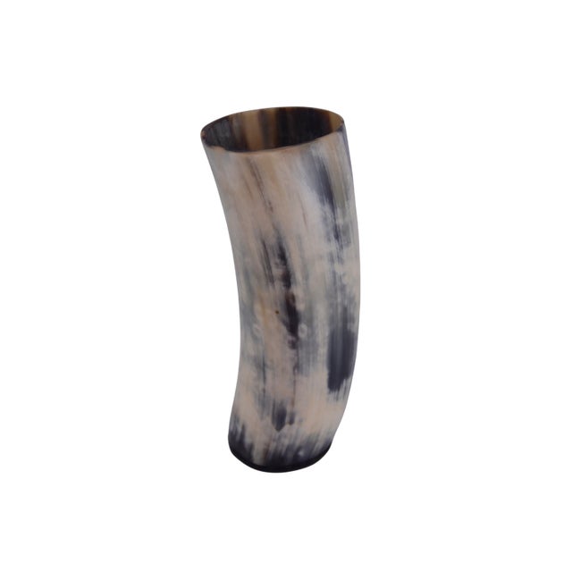 Contemporary Natural Buffalo Bison Horn 6" Vase For Sale - Image 3 of 5