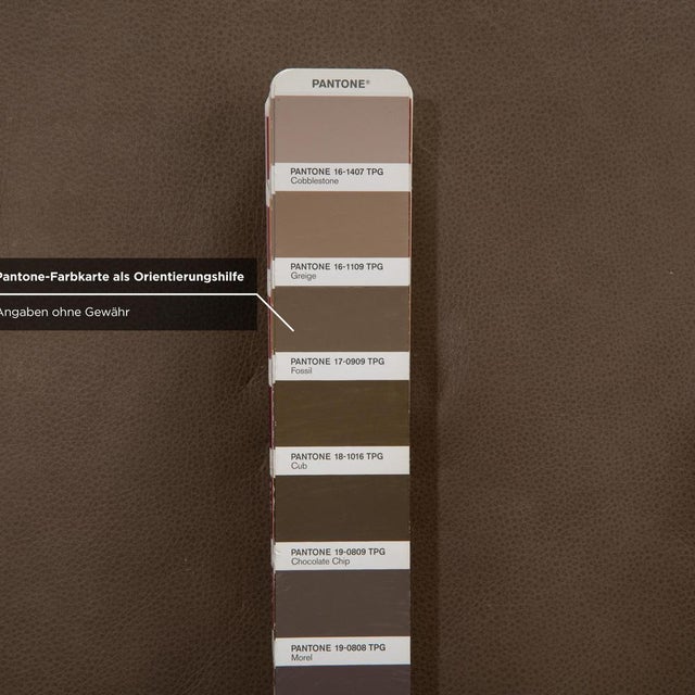 Taoo Corner Sofa in Taupe Leather from Willi Schillig For Sale - Image 12 of 18