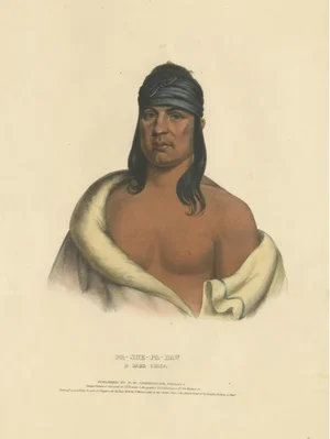 Pa-She-Pa-Haw, 1838, Paper