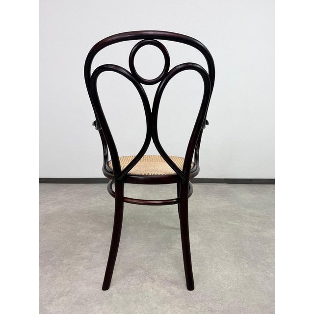 Nr.19 Angel Back Armchair in Bentwood attributed to Thonet, 1890s For Sale - Image 11 of 14