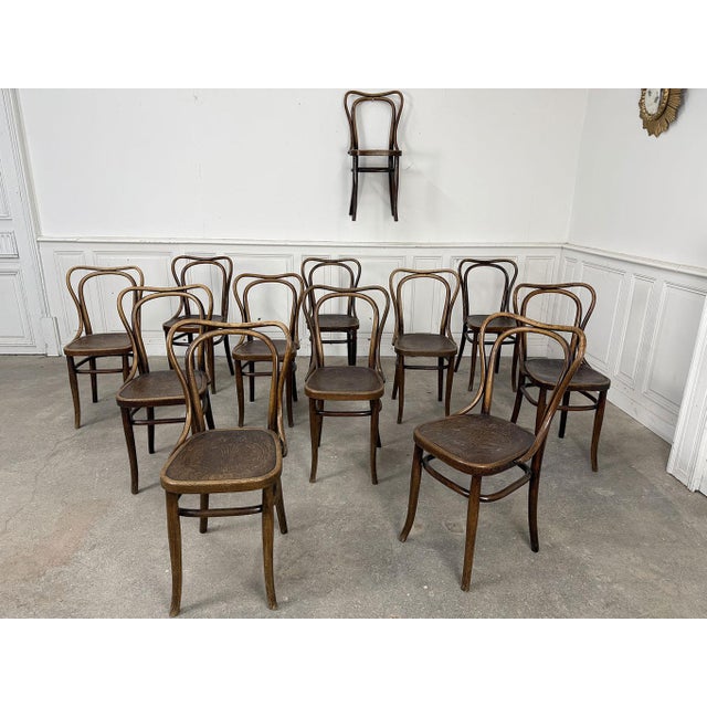 Bistro Chairs from Thonet, 1920, Set of 12 For Sale - Image 4 of 9