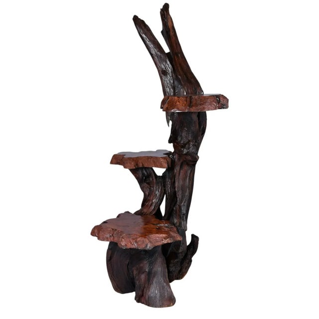 Large Rustic Live Edge Tree Trunk Plant Stand or Art Pedestal For Sale - Image 12 of 13
