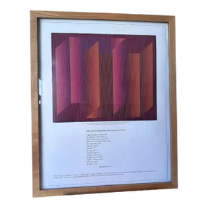 Julian Stanczak Exhibition Original Framed Print and Hard Copy Book