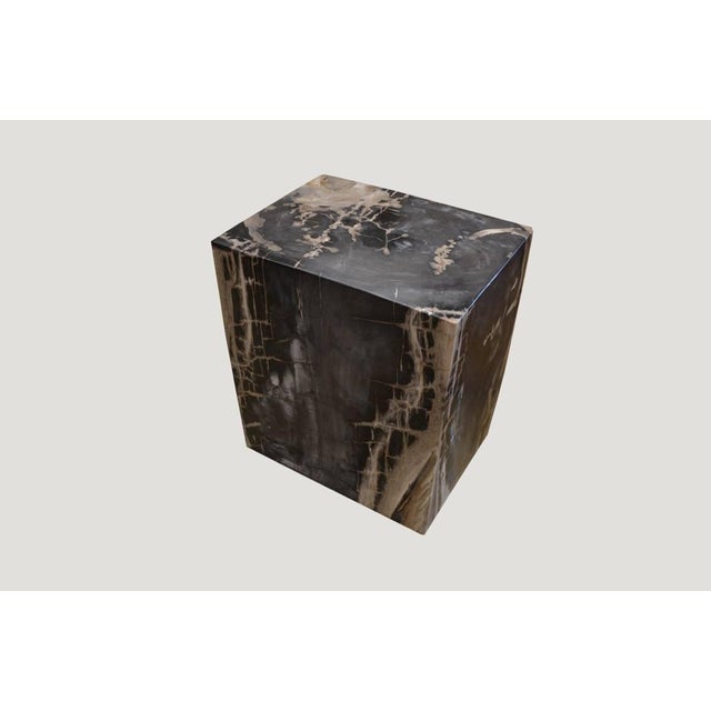 Andrianna Shamaris Petrified Wood Side Table For Sale - Image 14 of 18