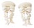 Designer Curated Vintage Hollywood Regency Distressed Cream & Gold Ribbon Bow Wall Shelves - Pair For Sale