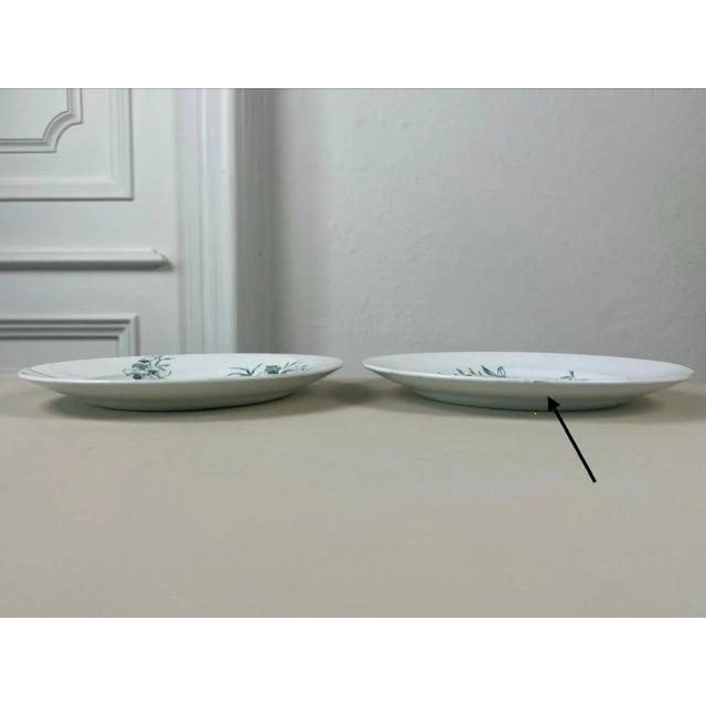 Italian Antique Italian Botanical Plates | s.c.r. Linneo Green Transferware Set (20cm) For Sale - Image 3 of 18