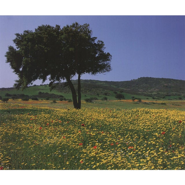 Artist: Archiv Kiedrowski Title: Tuscany, Italy Year: 2009 Signed: No Medium: Offset Lithograph Paper Size: 17 x 17.75...