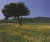 Artist: Archiv Kiedrowski Title: Tuscany, Italy Year: 2009 Signed: No Medium: Offset Lithograph Paper Size: 17 x 17.75...