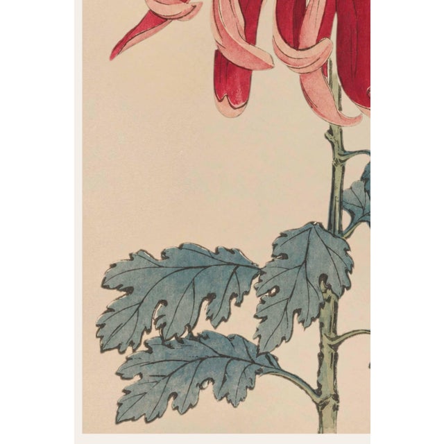 Asian Floral Giclee, Vintage Japanese Red Botanical Art Print, 16" X 24" For Sale - Image 4 of 9
