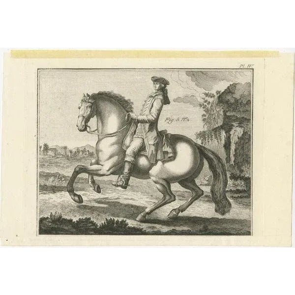 Antique print titled 'Manege, le Galop uni à gauche et le Galop faux à gauche. Copper engraving of horse riding: United...