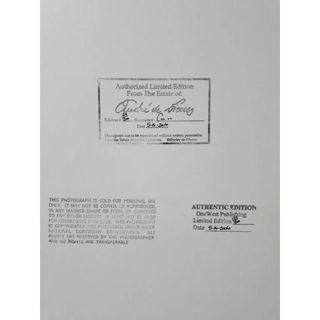 André de Dienes, Marilyn in Jeans, Photographic Print For Sale - Image 3 of 5