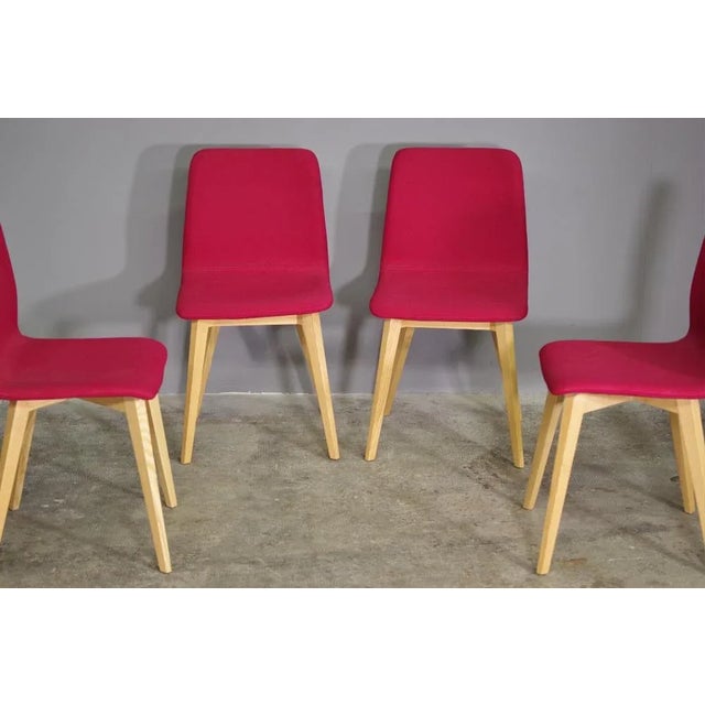 Modern Maple Chairs, 2010s, Set of 4 For Sale - Image 4 of 11