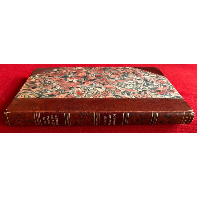 Fine Red Leather Binding - Encyclopedia of the Horse - Book by Elwyn Hartley Edwards - Single Volume For Sale In New York - Image 6 of 13