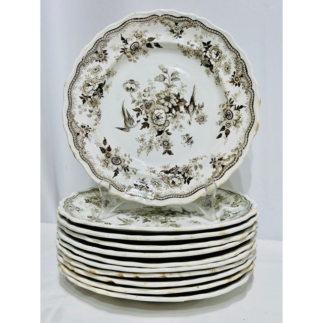 Stunning Set of Twelve (12) Antique English Porcelain Brown Transferware Dinner Plates in Podmore Walker and Co's Asiatic...