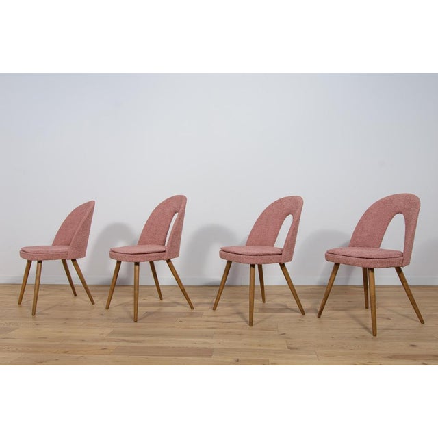 1960s Dining Chairs by Antonín Šuman for Tatra, 1960s, Set of 4 For Sale - Image 5 of 18