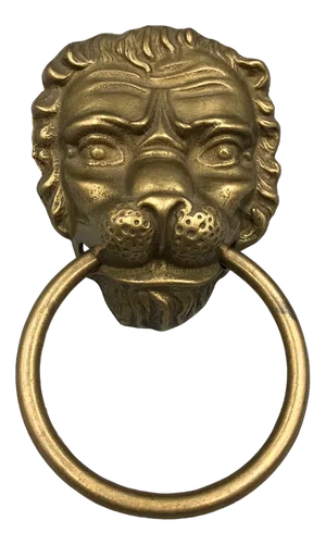 Vintage Door Knocker Lion Head in Brass, 1950s