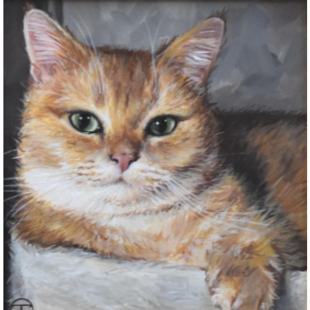 Shabby Chic Orange Cat Kitten Portrait Painting Including the Antiqued Gold Wood Frame For Sale - Image 3 of 5