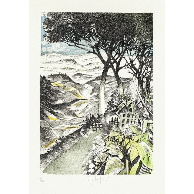 Landscape Etching on Paper by Mario Logli For Sale
