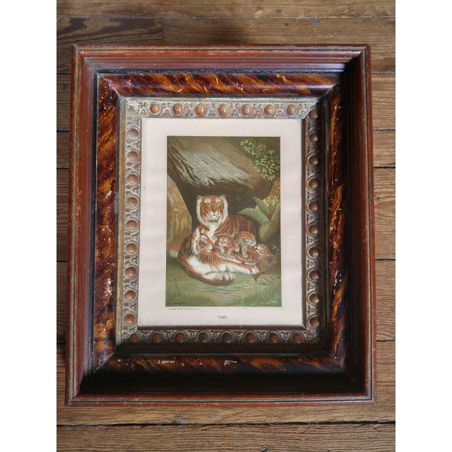 Late 19th Century Antique Louis Prang Tigress + Cubs Victorian Framed Aquatint Print For Sale - Image 4 of 6