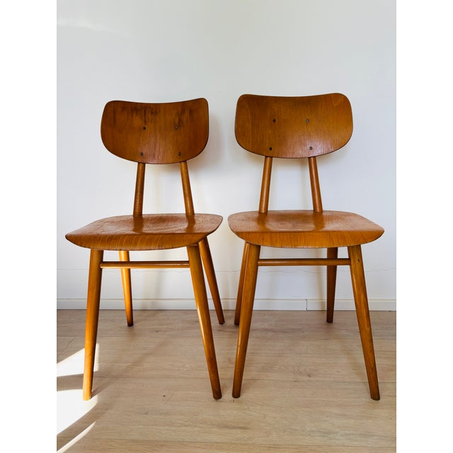 Vintage Dining Chair from Ton, Former Czechoslovakia, 1960s For Sale - Image 12 of 13