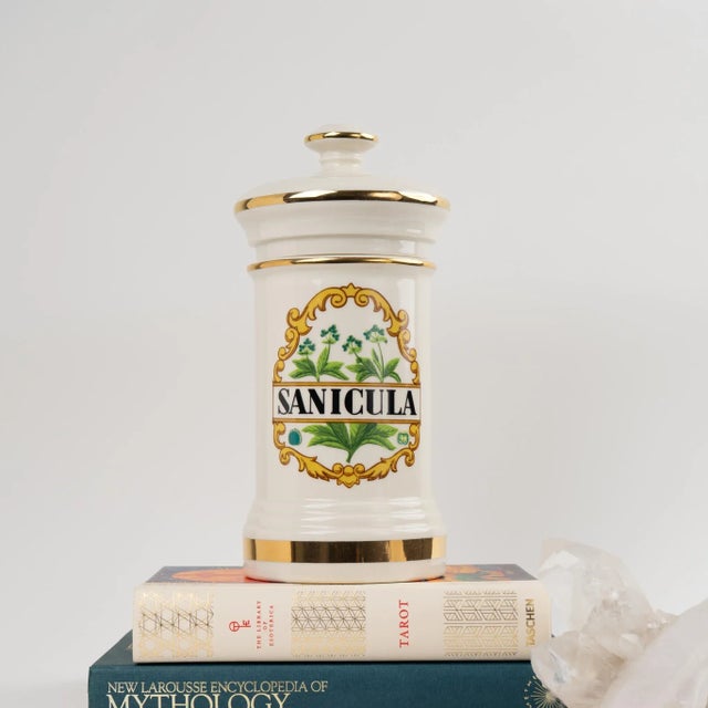 Charming 1970s ceramic apothecary jar featuring an elegant Sanicula botanical crest against creamy off-white ceramic...