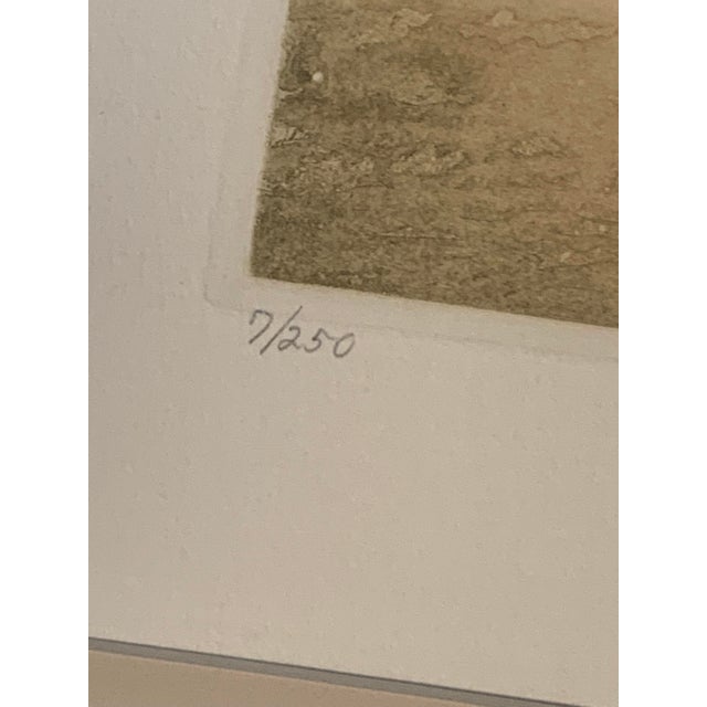Mid 20th Century Mid 20th Century Kaiko Moti Signed Numbered 7/250 Aquatint Etching Framed For Sale - Image 5 of 10