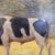 Black Roger Griboval, Rouen School Cow, 1980s, Oil on Board For Sale - Image 8 of 18