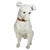 White Glazed Ceramic Dog Sculpture, France, 1970s For Sale - Image 16 of 16