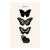 Butterfly Art Print – Vintage Natural History Illustration, 12" X 18" For Sale