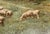 G. A. Hays American Sheep Pasture Landscape Oil Painting, Circa 1900. For Sale - Image 4 of 13