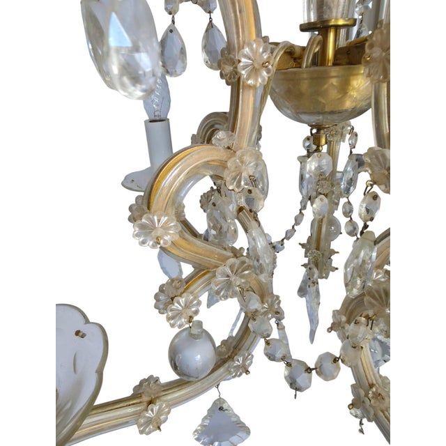 Gilded Murano Glass Chandelier in the style of Ca Rezzonico, 1960s For Sale - Image 9 of 10