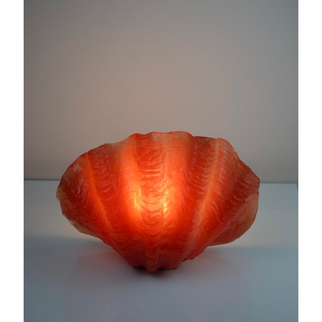 Vintage Sculptural Resin Shell Wall Sconce, 1970s For Sale - Image 3 of 18