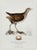 Boutique Archival William Lewin "Waterbirds & Waders" Prints - Set of 15 (8" X 10") For Sale - Image 15 of 18
