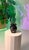 Galaxy Handmade Ceramic Vase A one of a kind black ceramic vase, inspired by the depth and mystery of the galaxy....