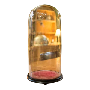 1880s Victorian Large Antique Display Dome, English, Glass, Taxidermy, Showcase