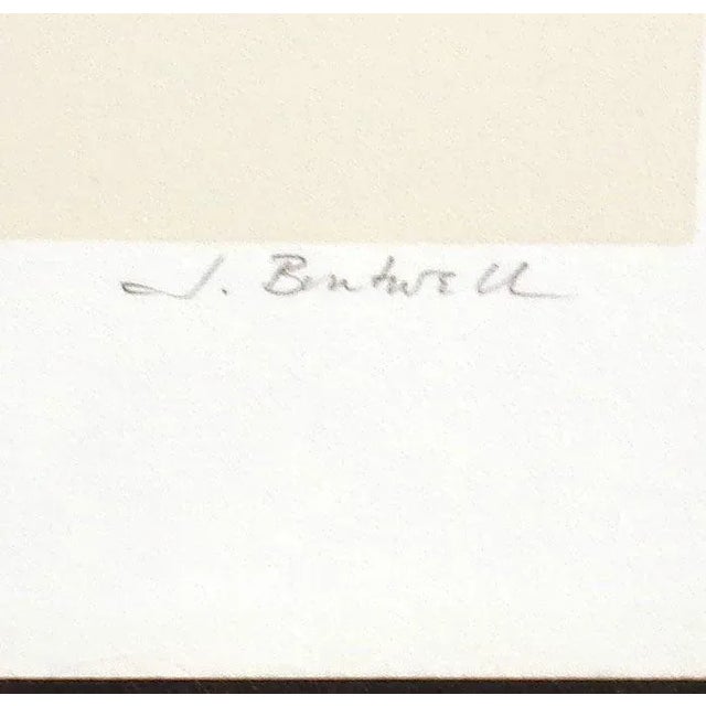 Abstract Abstract Jim Boutwell "Intentions of Sincerity Ii" Signed Numbered Vintage Serigraph Art Print For Sale - Image 3 of 5