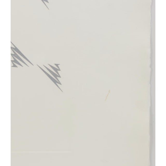 1970s 1970s Tess Jaray Abstract Print Pair – Minimalist Geometric Wall Art Set For Sale - Image 5 of 9