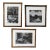 Black and White Decorative Garden Photographs in Gold Frames of Castle Lion Statue - Set of 3 For Sale