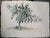 Brad Davis, pencil signed, titled and dated, Provenance Shearson Lehman Brothers collection, overall: 32.375''h x...