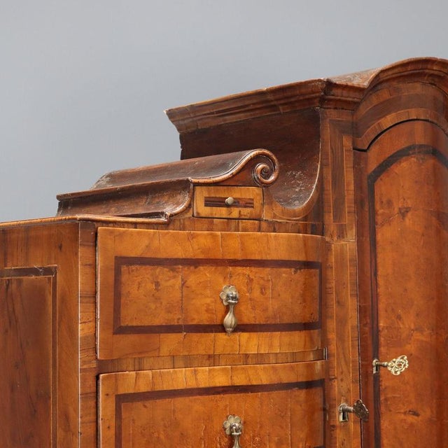 Walnut and Maple Burl Trumeau with Various Wood Trim For Sale - Image 4 of 16